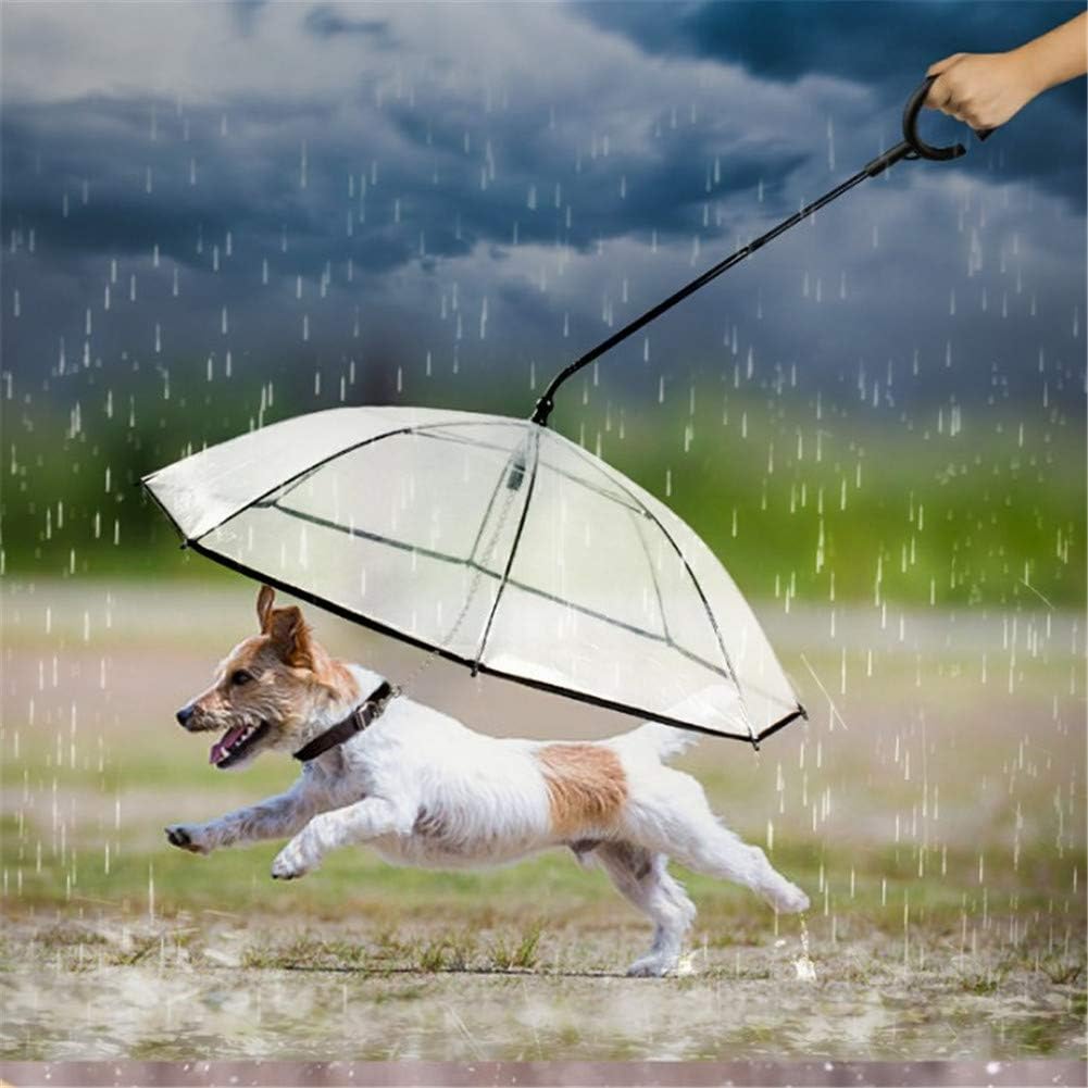 RainyDog - Der Regenschirm für Hunde