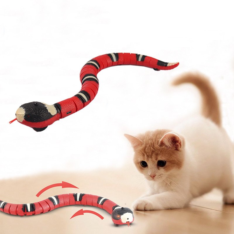 Cat Snake