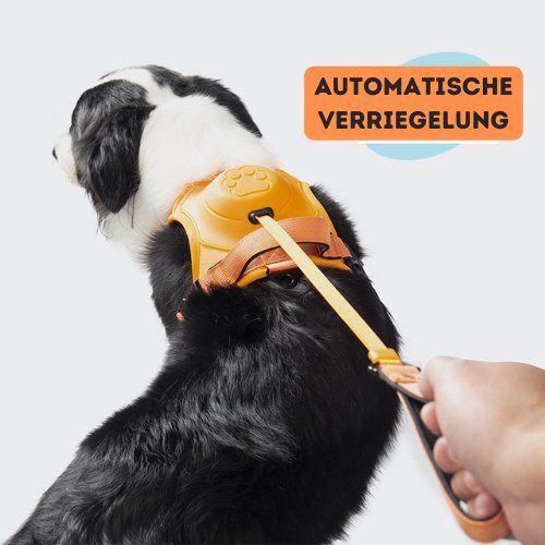 AnyDog - Premium Hundegeschirr