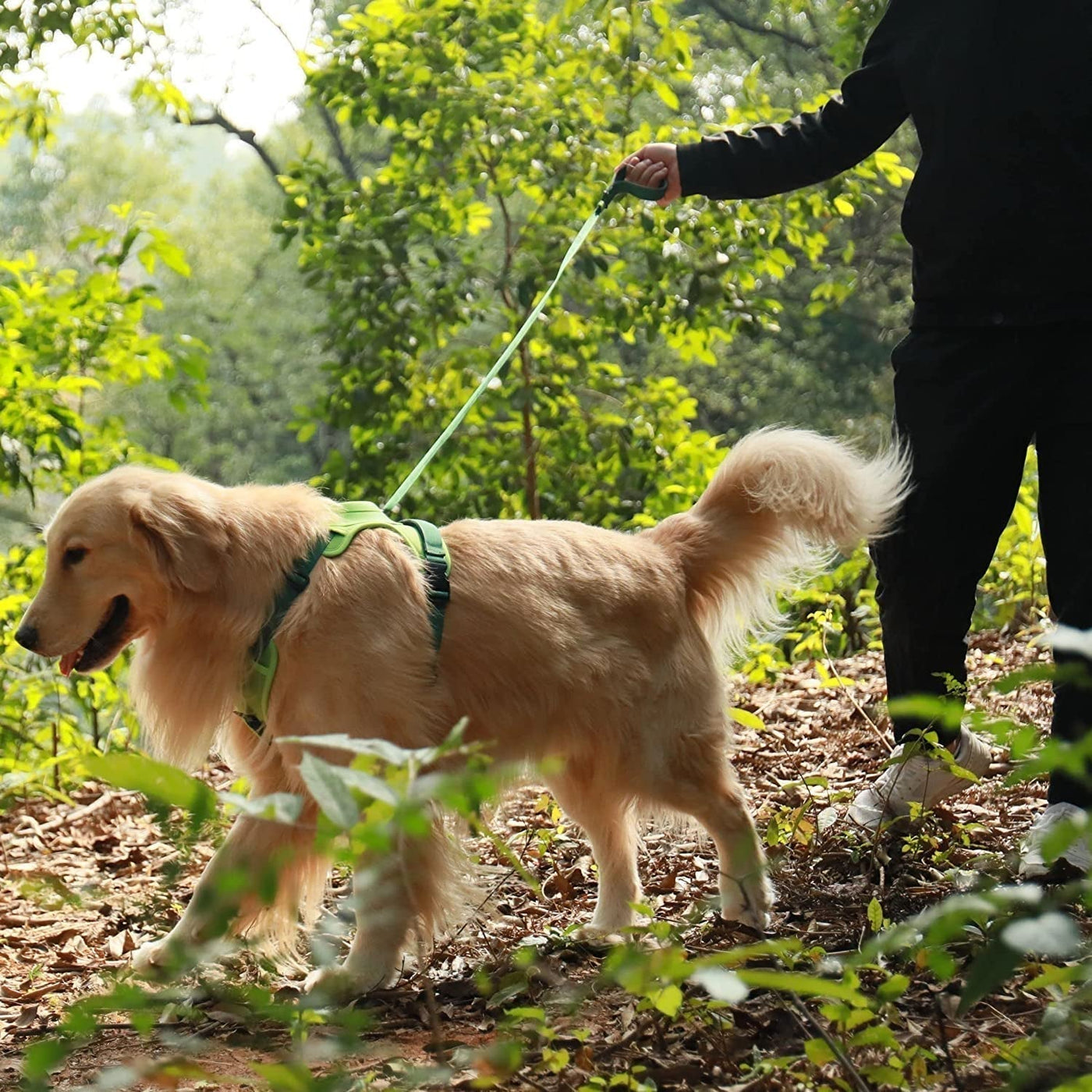 AnyDog - Premium Hundegeschirr